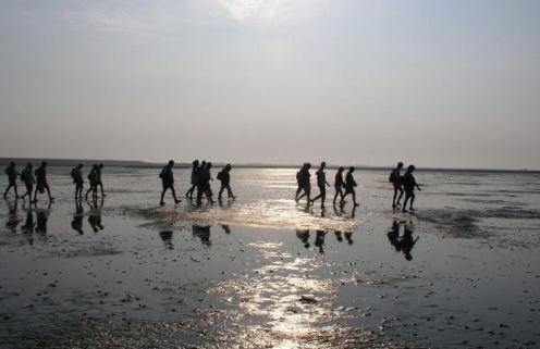 Gleis acht - Foto 20