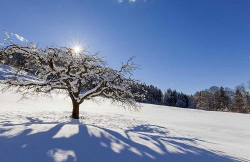 Gästehaus Pfnürlehen - Foto 18