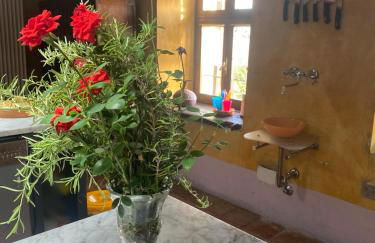 Castello Stella in Vaglio Serra ,Monferrato unesco - Photo 21