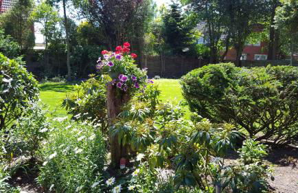 Wohnung 1 Haus- Annegrete mit überdachter Terrasse zum Garten - Foto 10