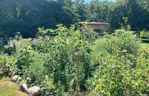 NEUES GESINDEHAUS (Rittergut Oelzschau b. Leipzig) - Foto 18