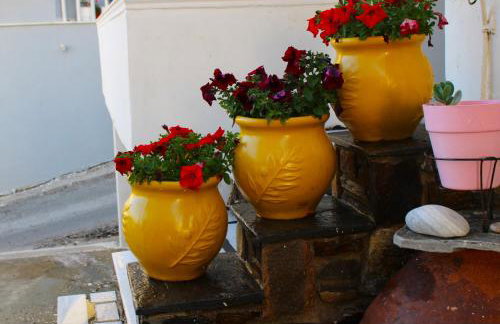 The House on the Coast - Photo 27