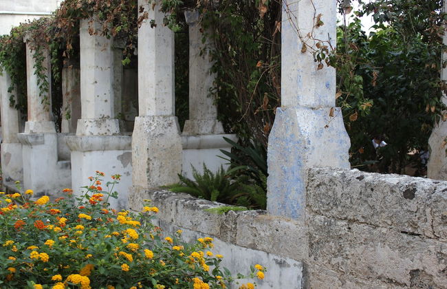 Masseria Pagani - Photo 80