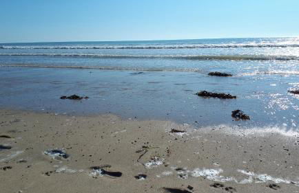 Gîte LES CHANTS DU CREPUSCULE - Foto 48