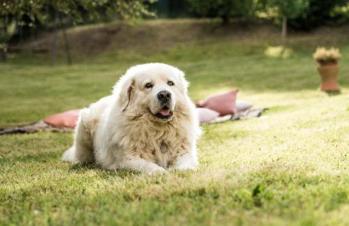 Agriturismo Campo al Sole - Foto 56