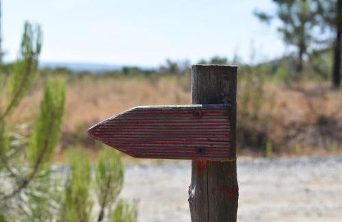 Monte Sardinha - Foto 82