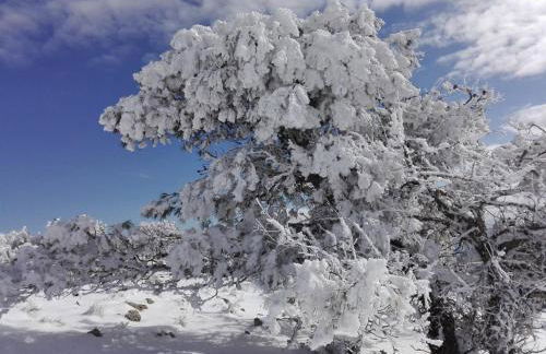 Villa Rural Campillo de Arenas - Foto 61