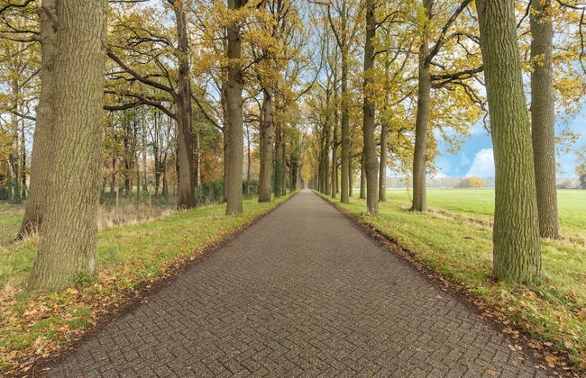 Apartment in Wortel Hoogstraten With Garden - Foto 36