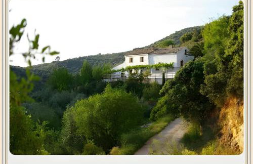 Finca Rústica La Pájara - Foto 4