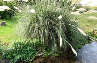 Lile Cottage at Gleaston Water Mill - Foto 15