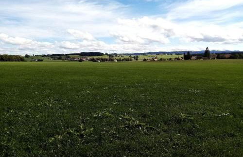 Weide Comfortable holiday residence - Foto 33