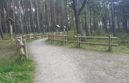 Magico Posto - Foto 69