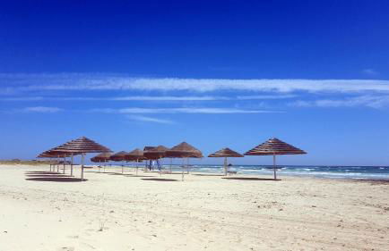 Villetta Le More - con Grande Giardino nel Cuore del Salento - Foto 49