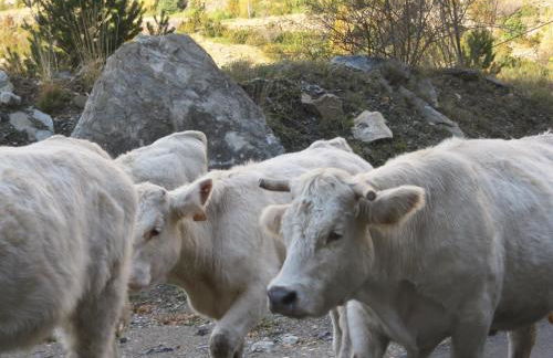 Casa Rural Borda Marianet - Foto 74