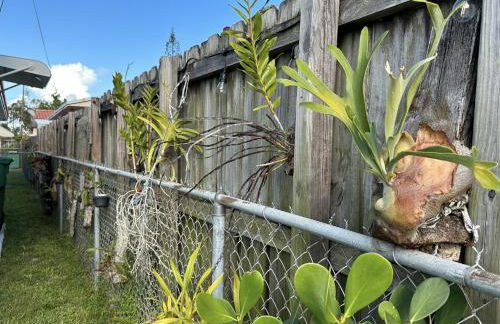 Miami's Cozy Tropical Getaway - Photo 19