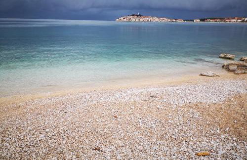 Apartmani Petra - Photo 5