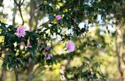 Relaxing 5-Bedroom Villa with Outdoor Oasis - Foto 38