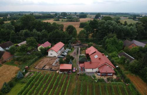 Agroturystyka ROGALA - Foto 2