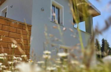 Ferienhaus am Thüringer Meer - Foto 2