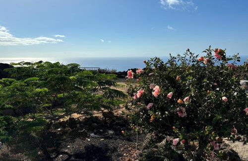 Villa Olimonte - Foto 24