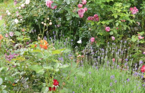 Haus Rosengarten mit Sauna - Foto 22