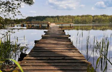 Forest Mood - Foto 74