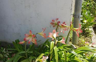 Apartment Valeria - Foto 10