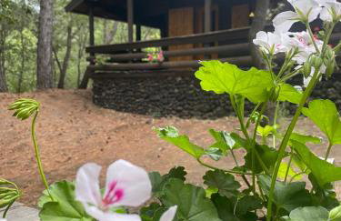 Woods Etna Chalet - Photo 20