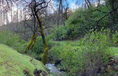 Stay at Whispering Pines, only 25 mi to Yosemite! - Foto 11