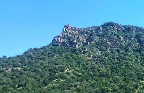 Shady Knoll - Photo 9