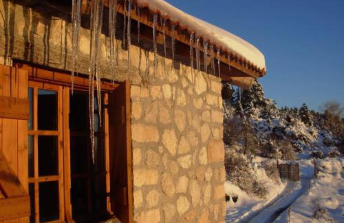 Arli House - Photo 36