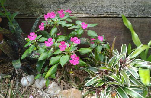 Tranquilidade e linda vista da lagoa - Foto 43