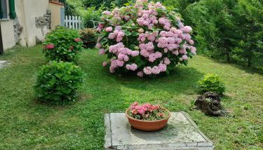 Casa relax immersa nel verde della natura - Foto 2