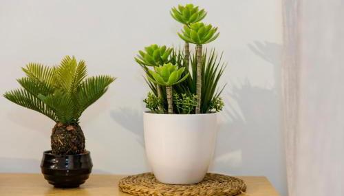 The Alou Apartment 1 - Montiboli - Private Beach - Foto 5