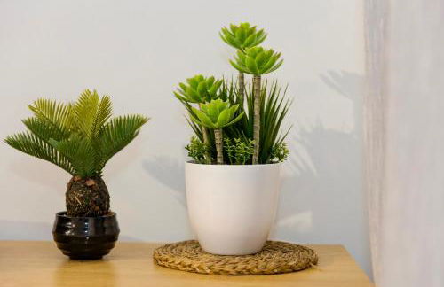 The Alou Apartment 1 - Montiboli - Private Beach - Photo 5