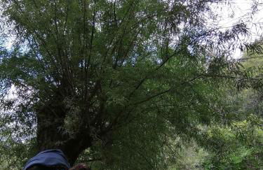 Tre metr sopra il cielo '' GiraSoli'' - Photo 51