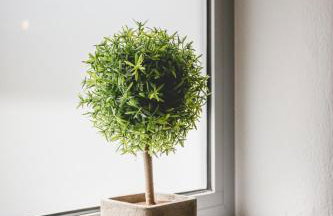 Votsalo Tolo - Foto 9