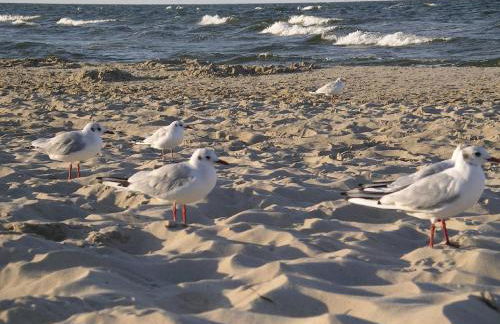 Ferienwohnung Schmilau - Foto 19