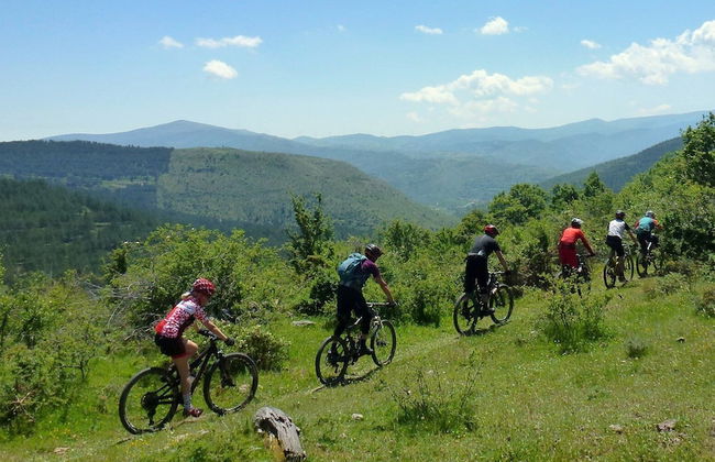 Molino del Corregidor - Foto 91