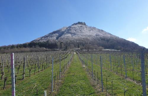 Studio 22, Terrasse,Pool,Sauna,Ofen - Foto 18