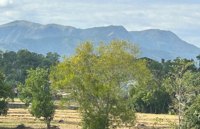 Scarlett Resorts at Laganas - Foto 24