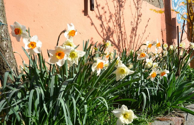 Agriturismo La Mussia - Foto 48