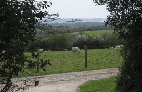 Woodside Cottages - Beech cottage - 2-bed Self-catering - Photo 6