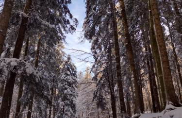 Baita La Stradella - Foto 38