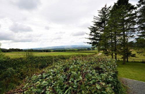 3 Bed in Lockerbie 89406 - Foto 23