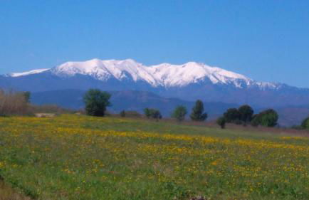 Roulotte en bois Sud France - Foto 35