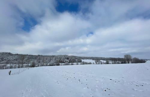 Ferienidyll Aumühle "Muswiese" - Foto 66