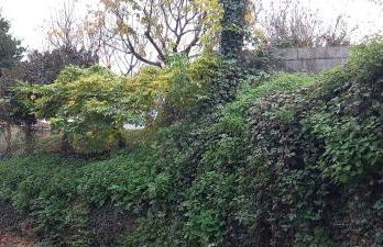 Casa dos ánxeles VUT-OR-1310 - Foto 71