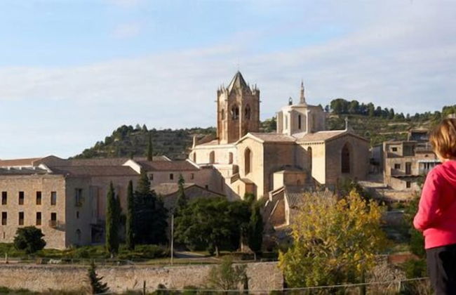 Ca n'Aleix - Photo 64