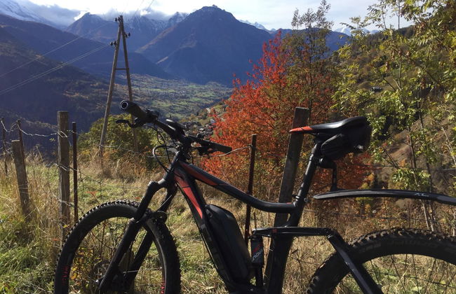 Amici 1. OG West - Foto 57